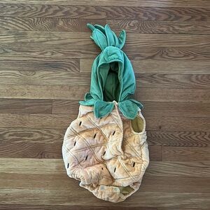 Pottery Barn Kids Pineapple Halloween Costume